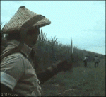 Без названия (4).gif