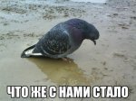 что же с нами стало.jpg