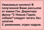 собаки.jpg