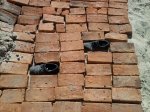 Кирпичи.jpg