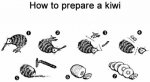 kiwi.jpg