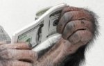 мавпа+баксы.jpg