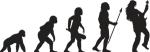 evolution.png
