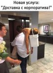 Доставка.jpg