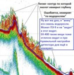Водоросли и Белая Линия.jpg