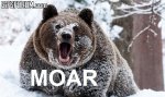 moar_bear.jpg