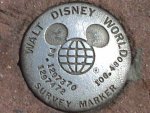 DisneySurveyMarker2.jpg
