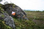 300px-Orienteering_Sortland_01.jpg