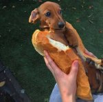 хозяин не дури.jpg