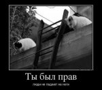 1354770964_demotivatory-20.jpg