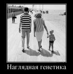 608451963532_naglyadnaya-genetika.jpg