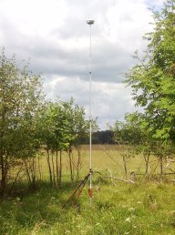 Сараев Дмитрий