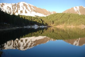 ОсокинДмитрий