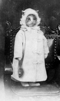 Дмитрий_Владимирович